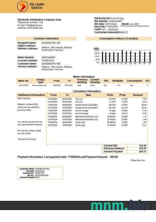 Palestyńska firma zajmująca się dystrybucją energii elektrycznej Gaza (GEDCO) szablon rachunku za media Biznesowe w formatach Word i PDF
